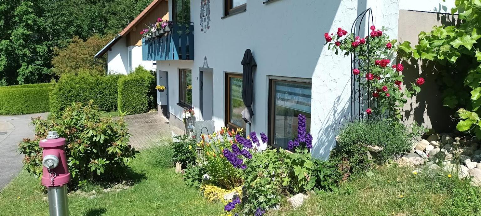 Ferienwohnung Brigachglueck Санкт Георген им Шварцвалд Екстериор снимка
